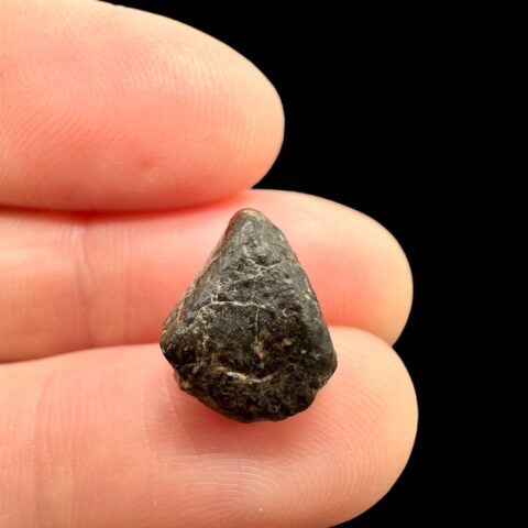 Meteorit NWA 869 – 1,4g – Severozápadní Afrika