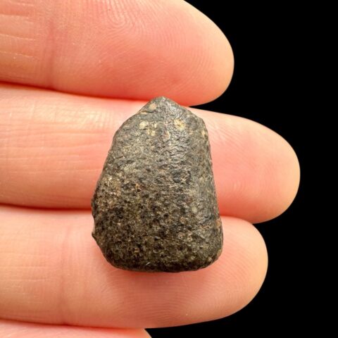 Meteorit NWA 869 – 2,7g – Severozápadní Afrika