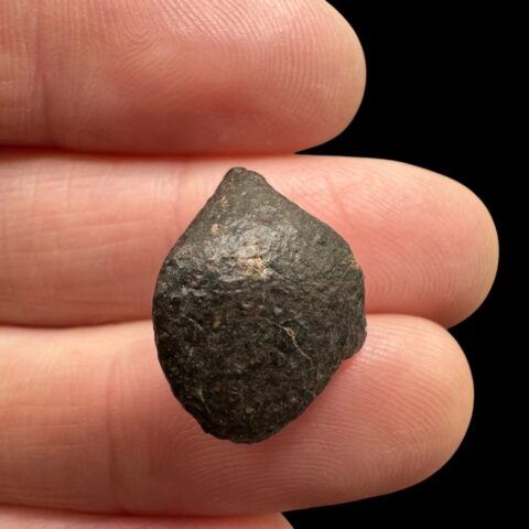 Meteorit NWA 869 – 2g – Severozápadní Afrika