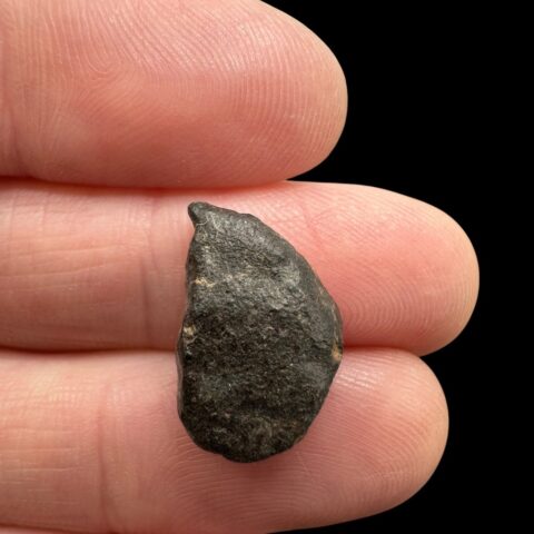 Meteorit NWA 869 – 1,4g – Severozápadní Afrika
