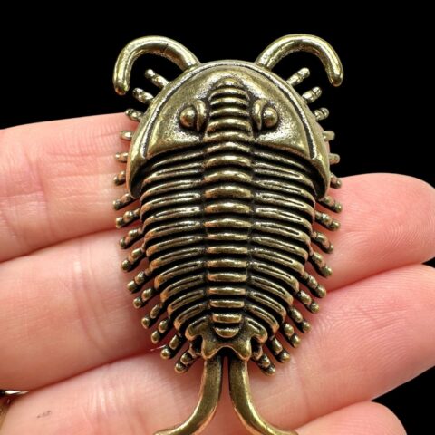Mosazný trilobit