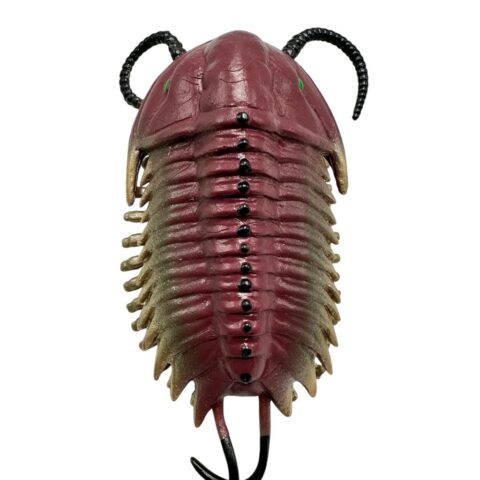 Plastový trilobit