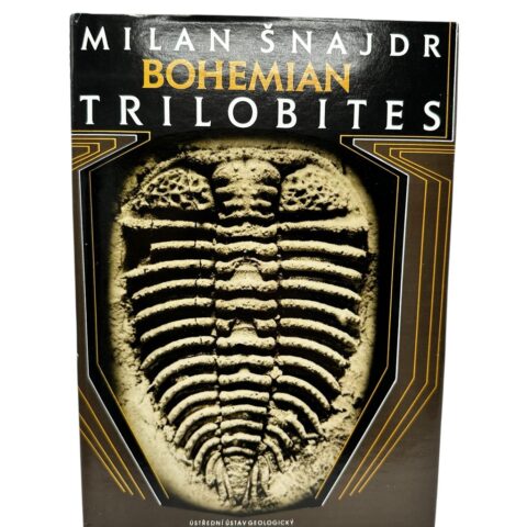 Bohemian Trilobites