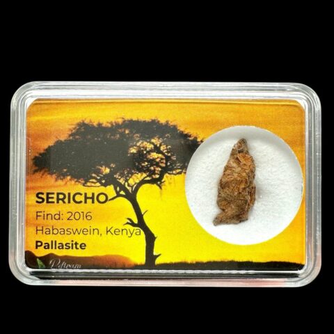 Meteorit Pallasit Sericho 0,8g – Keňa