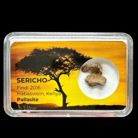 Meteorit Pallasit Sericho 0,8g – Keňa