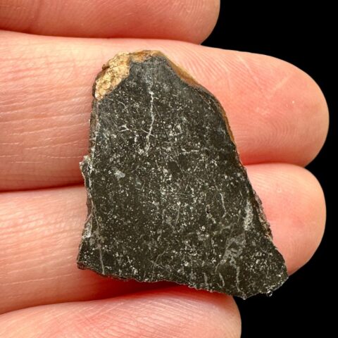 Meteorit Tsarev 3,9g – Volgograd, Rusko