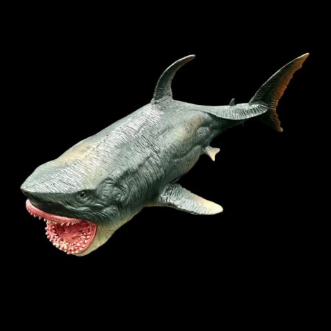 Plastový model megalodona