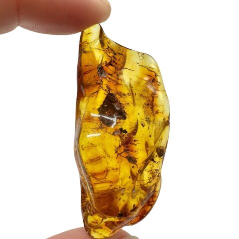 Jantar 7,8g – Litva
