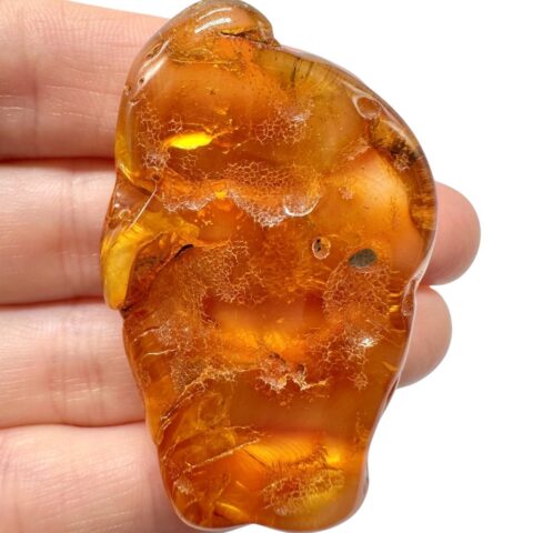 Jantar 10,6g – Litva