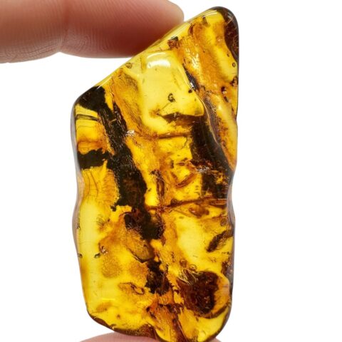 Jantar 10g – Litva
