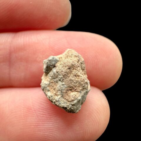 Lunární meteorit Bechar 007 – 0,6g – Alžírsko