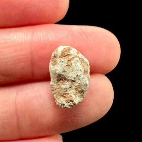 Lunární meteorit Bechar 007 – 0,7g – Alžírsko