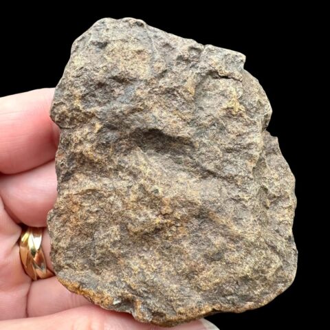 Meteorit NWA X – 92,6g – Severozápadní Afrika