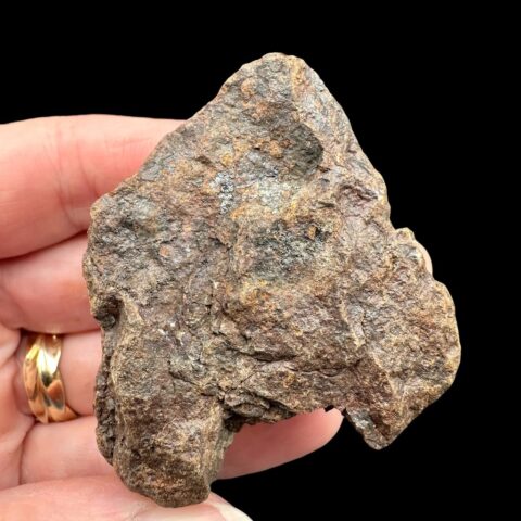 Meteorit NWA X – 71g – Severozápadní Afrika