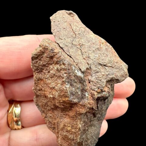 Meteorit NWA X – 78,4g – Severozápadní Afrika