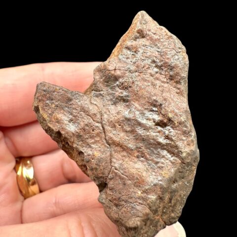 Meteorit NWA X – 74,6g – Severozápadní Afrika