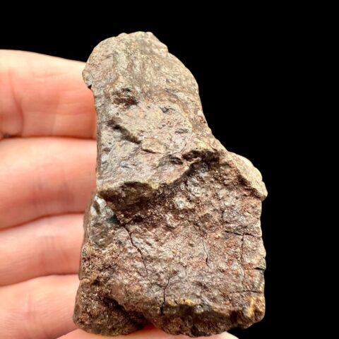 Meteorit NWA X – 72,7g – Severozápadní Afrika