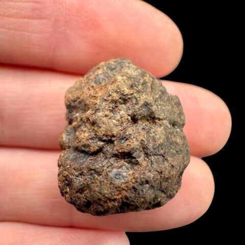 Meteorit NWA X – 9g – Severozápadní Afrika