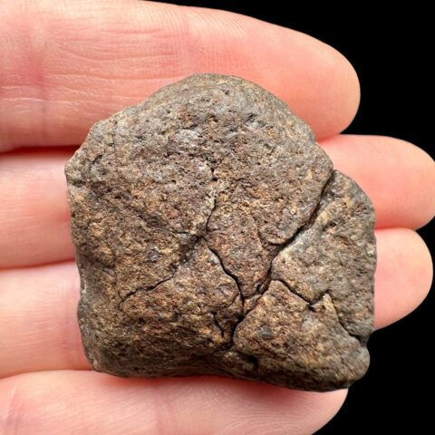 Meteorit NWA X – 21,4g – Severozápadní Afrika