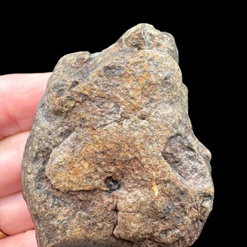 Meteorit NWA X – 64,8g – Severozápadní Afrika