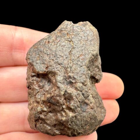 Meteorit NWA X – 62,5g – Severozápadní Afrika