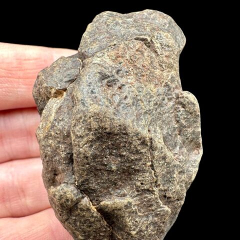 Meteorit NWA X – 78g – Severozápadní Afrika