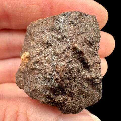 Meteorit NWA X – 32,6g – Severozápadní Afrika
