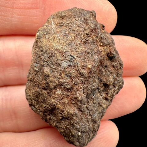 Meteorit NWA X – 15,9g – Severozápadní Afrika