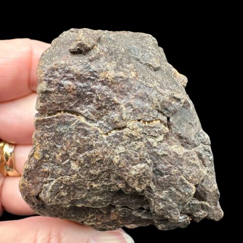 Meteorit NWA X – 165,3g – Severozápadní Afrika