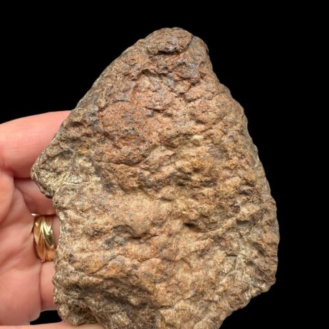Meteorit NWA X – 262,5g – Severozápadní Afrika