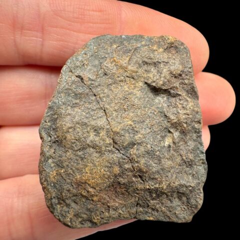 Meteorit NWA X – 34,3g – Severozápadní Afrika