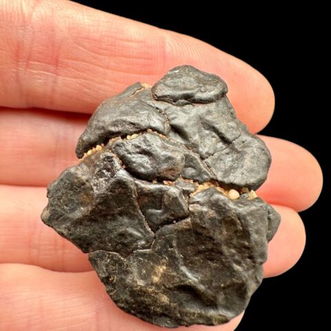 Meteorit NWA X – 21,7g – Severozápadní Afrika