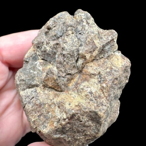 Meteorit NWA X – 156,9g – Severozápadní Afrika