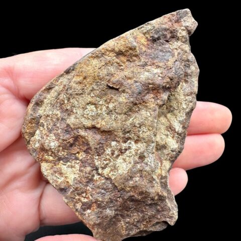 Meteorit NWA X – 96g – Severozápadní Afrika