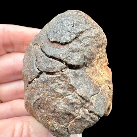 Meteorit NWA X – 168,5g – Severozápadní Afrika
