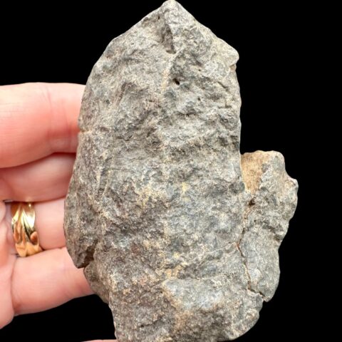 Meteorit NWA X – 168,6g – Severozápadní Afrika