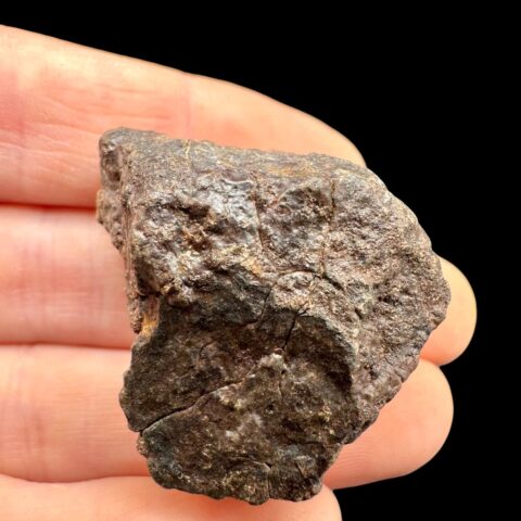 Meteorit NWA X – 23,6g – Severozápadní Afrika
