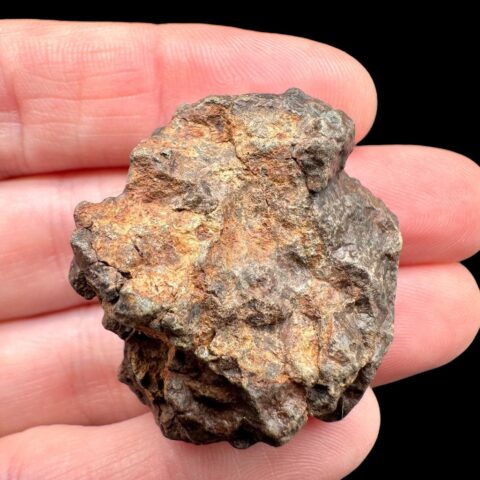 Meteorit NWA X – 23,3g – Severozápadní Afrika
