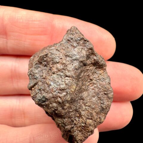 Meteorit NWA X – 20,6g – Severozápadní Afrika