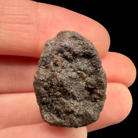 Meteorit NWA X – 7,8g – Severozápadní Afrika