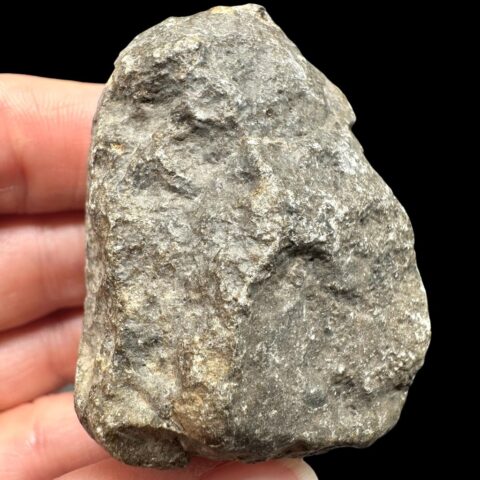 Meteorit Jikharra 001 – 79,5g – Libye