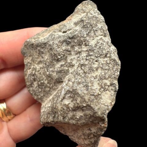 Meteorit Jikharra 001 – 78,2g – Libye