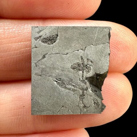 Meteorit Nantan 3,9g – Guangxi, Čína