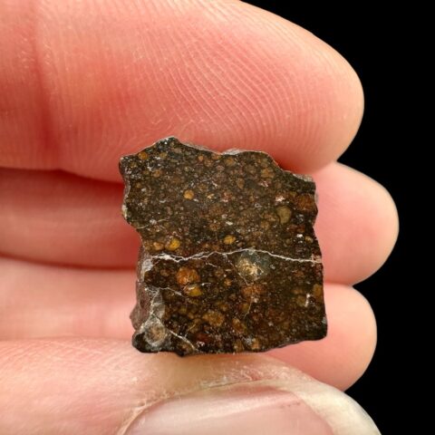 Meteorit Dar al Gani (DaG) 4,1g – Sahara, Libye