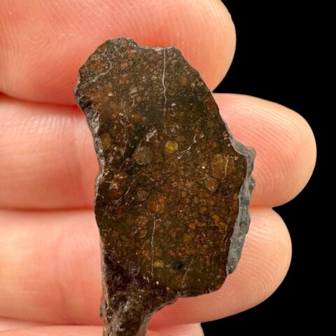 Meteorit Dar al Gani (DaG) 3,1g – Sahara, Libye
