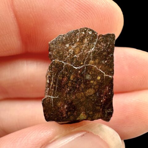 Meteorit Dar al Gani (DaG) 4,9g – Sahara, Libye