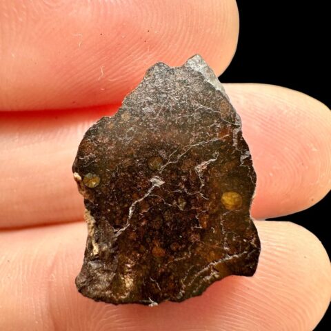 Meteorit Dar al Gani (DaG) 2,2g – Sahara, Libye