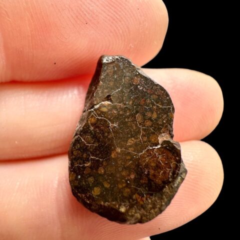 Meteorit Dar al Gani (DaG) 2,8g – Sahara, Libye