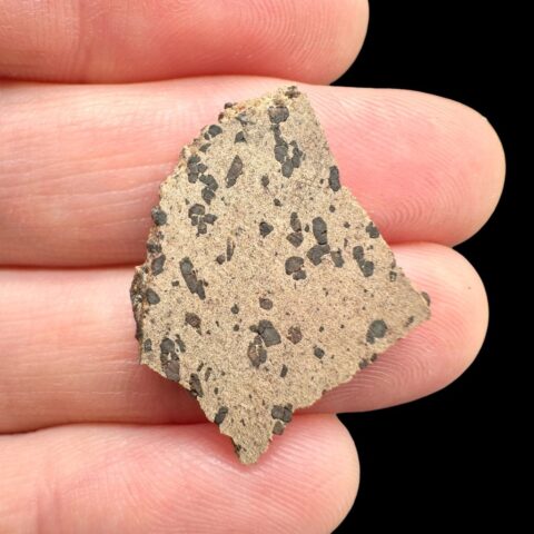 Meteorit Tarkint 001 – 1,5g – Mali