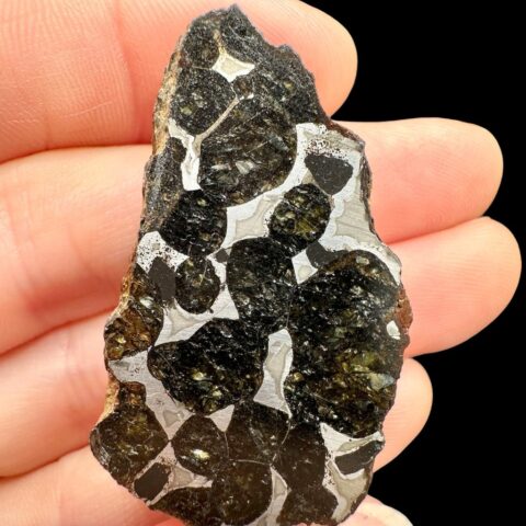 Meteorit Pallasit Sericho 18,7g / koncový řez – Keňa